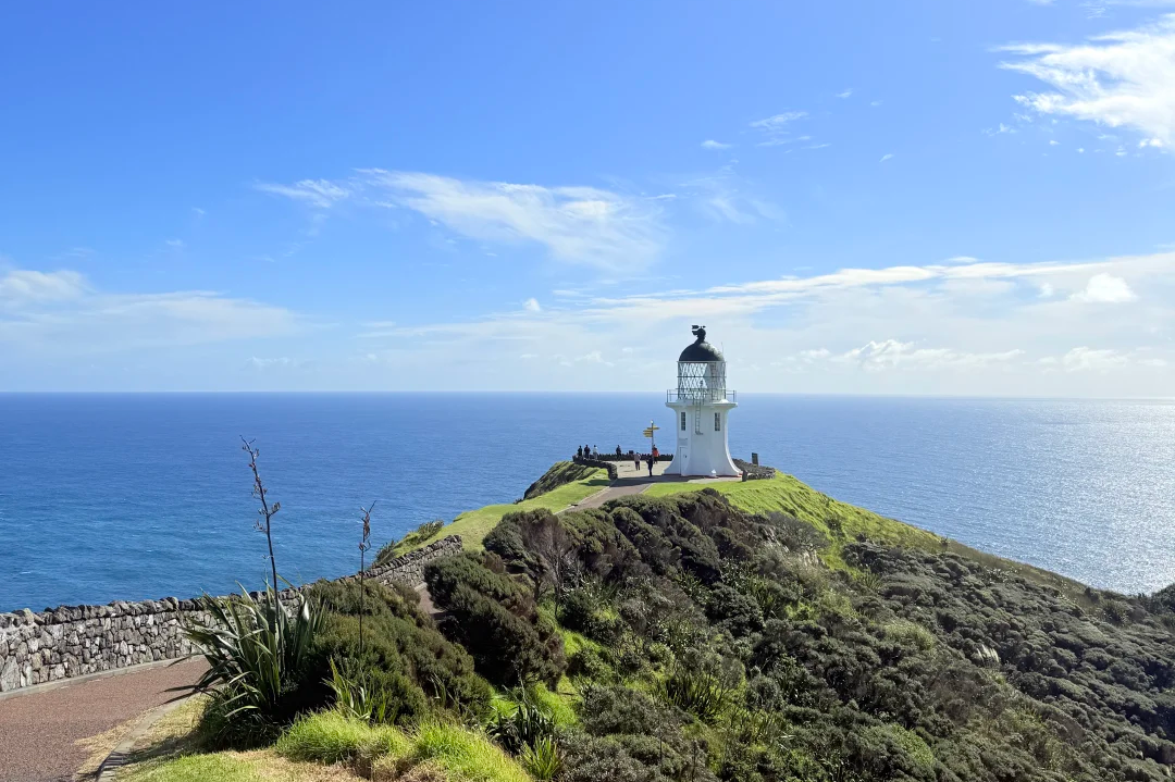 00000000TsIdpbxbrVyKuTgM