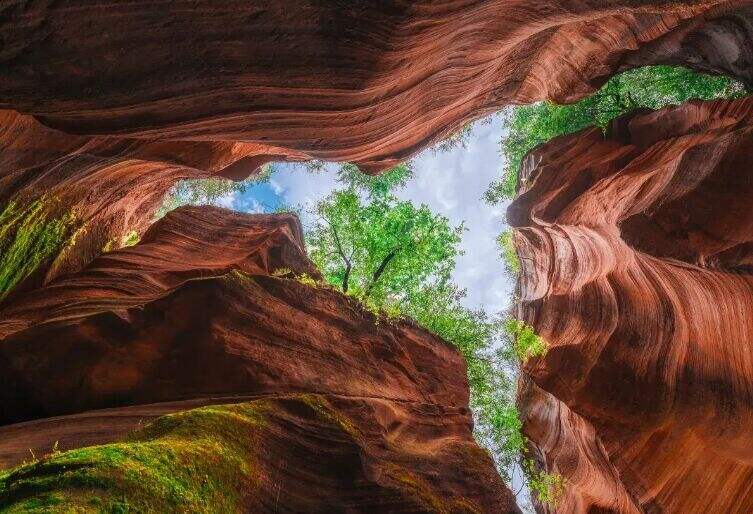 00000000TtqwvOzPfSUzXPHM