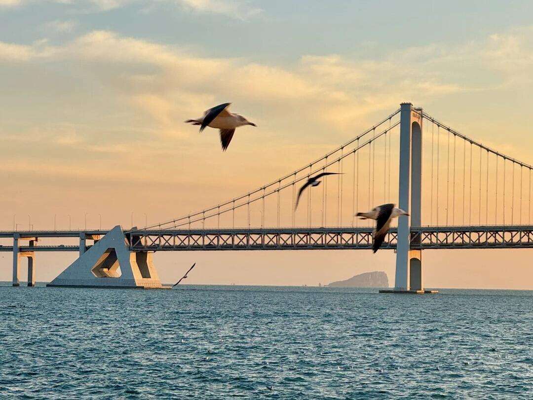 00000000XbyTgzWNoAKvsKTv