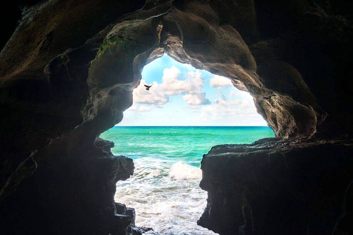 00000000XorAaANRnoHoRAZh