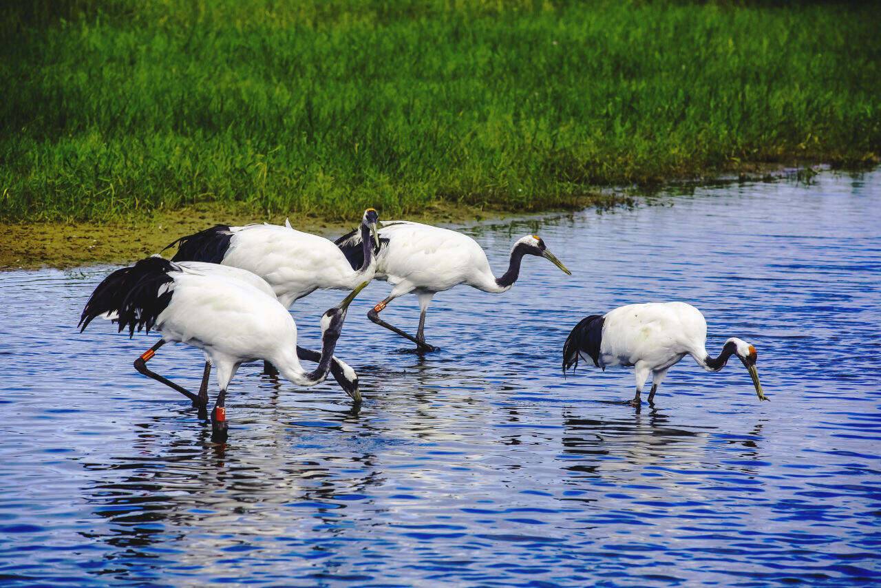 00000000YCzQXcSfkDIGYGDG