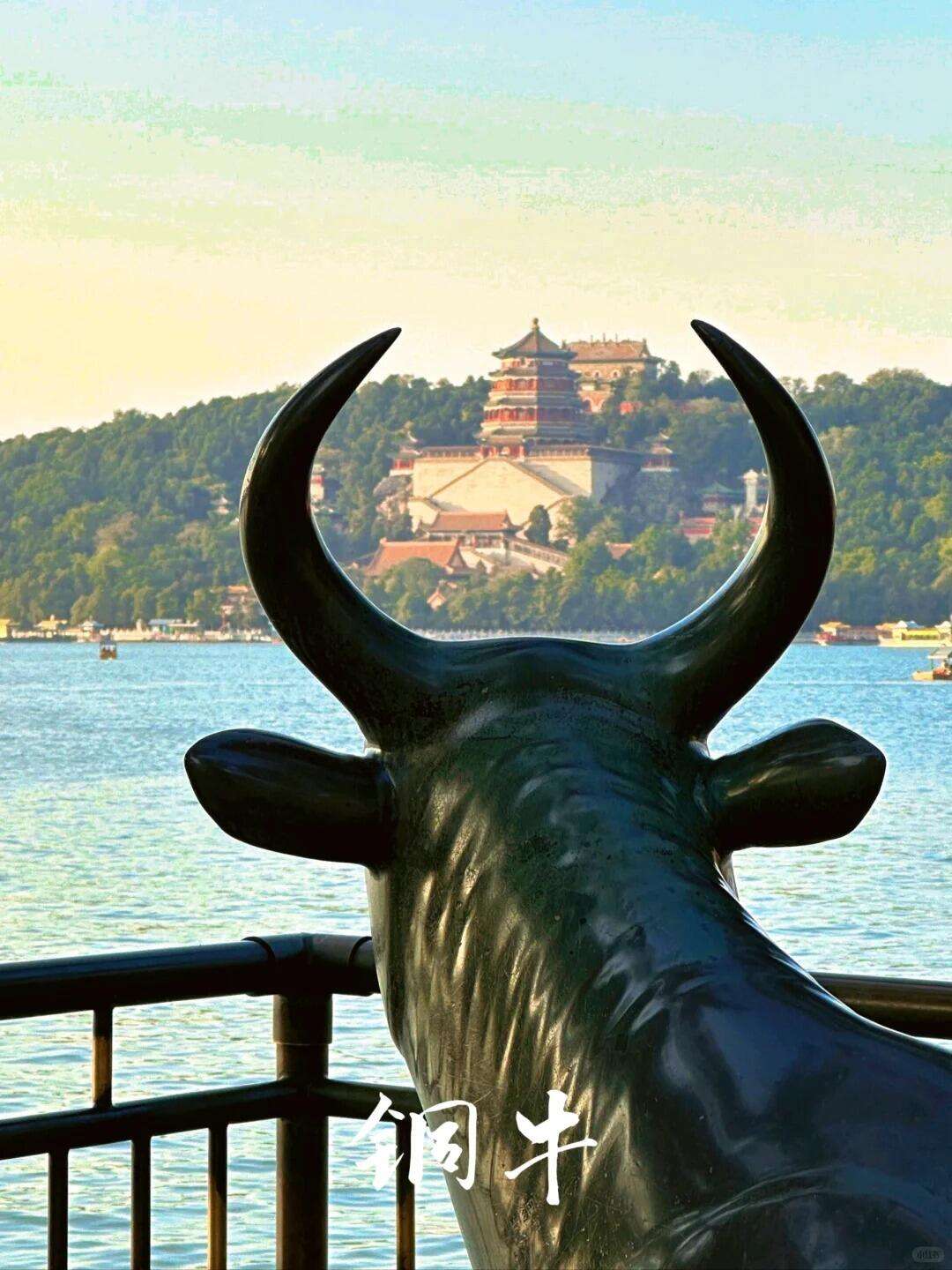 00000000ZIkZRlAQtOeMDXzk