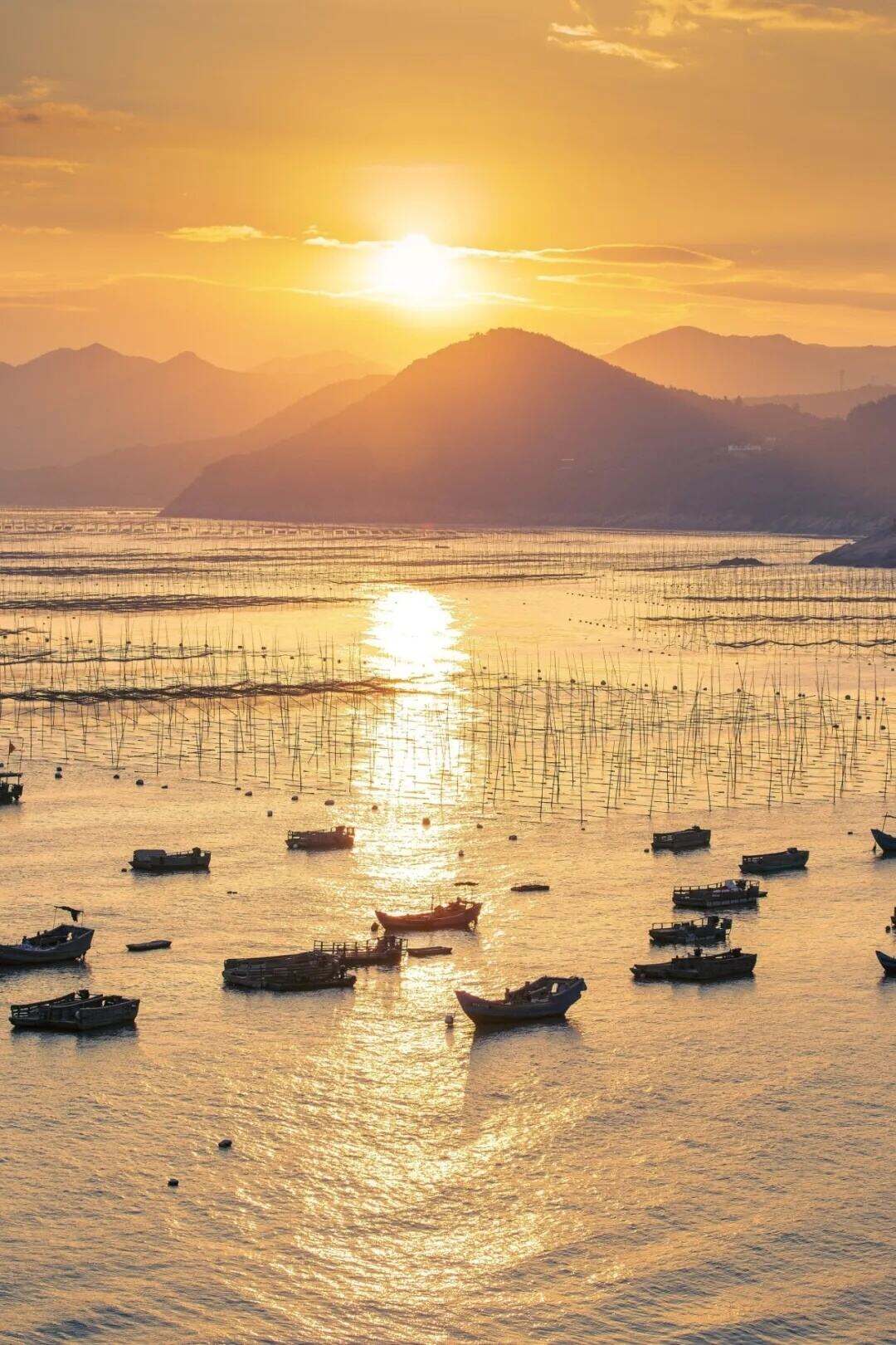 00000000ZauiKRetYjlUxoet