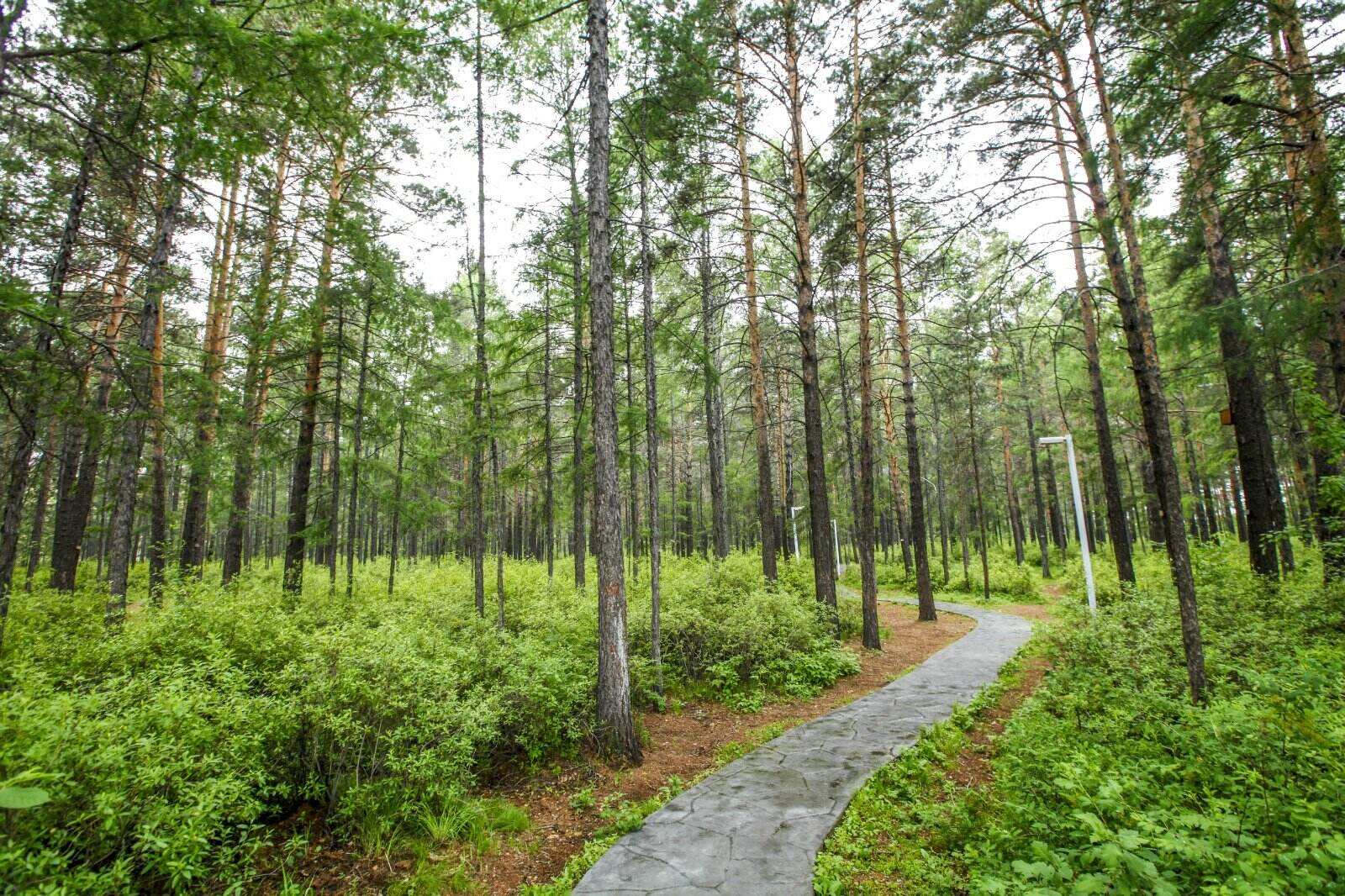 00000000cQwksQfienweaRNZ