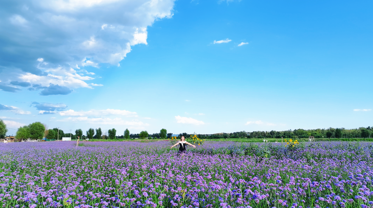 00000000fJJBrFobZhlfLJVv