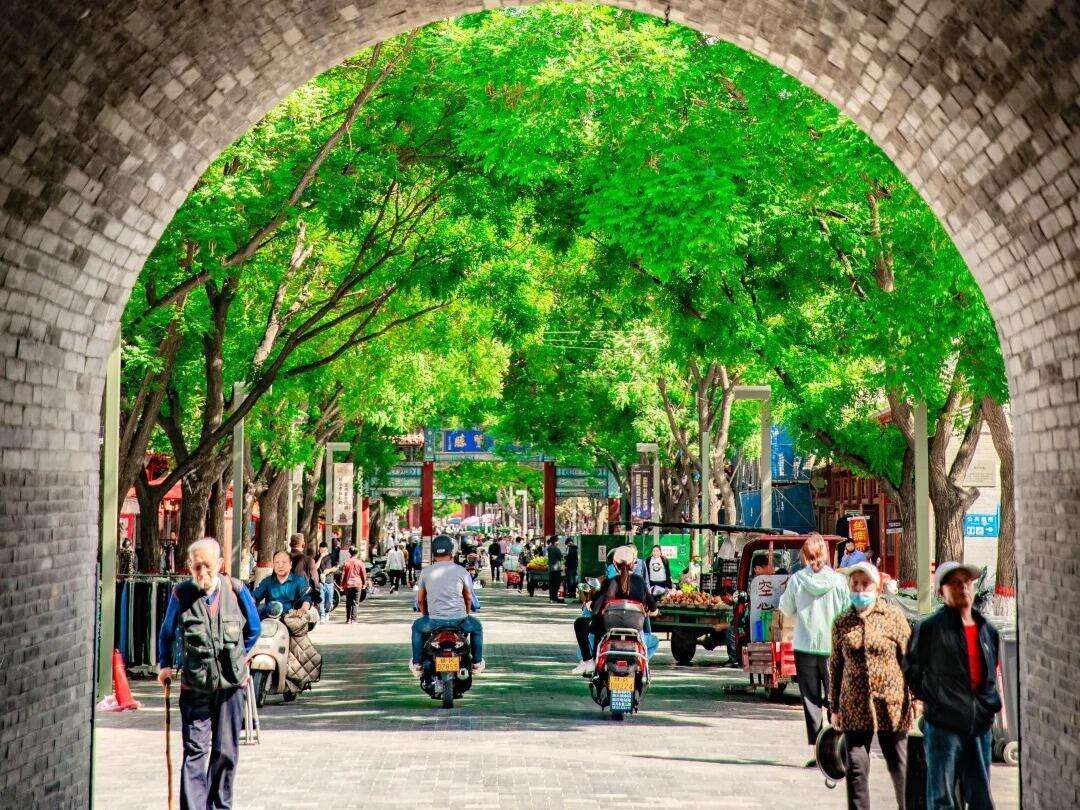 00000000gBiaEoyqzxnSgdYO