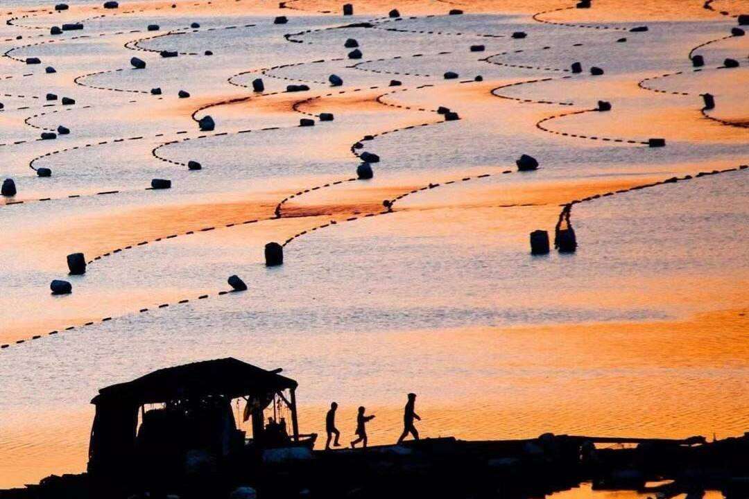 00000000hhajFVeBVJmhFatV