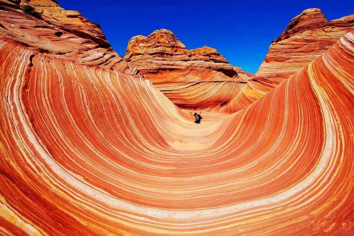 00000000leQEnJZJXVFqjoTO