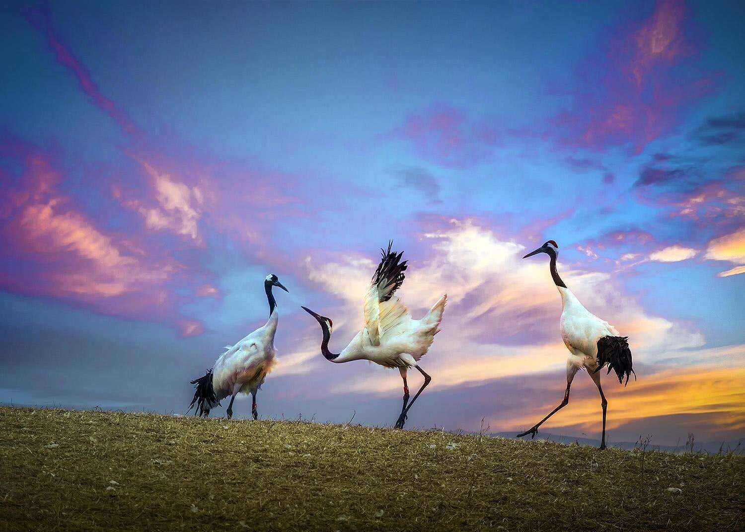 00000000pJKEslAXbHIlZmOS