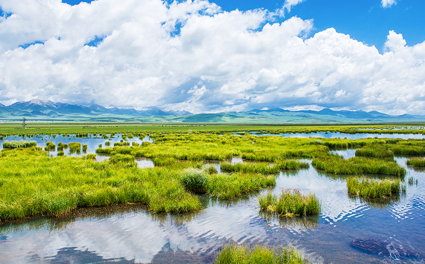 00000000qUAnrDSQAtMeNdYF