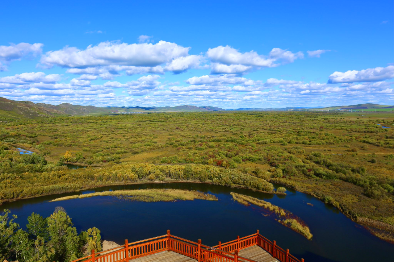 00000000reyOgvzZibNtKALC