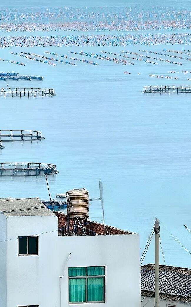 00000000snMaACWFNbFTTzZW