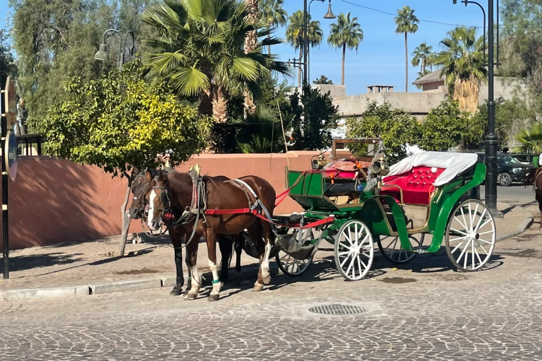 00000000wScVZbmSduabJxge