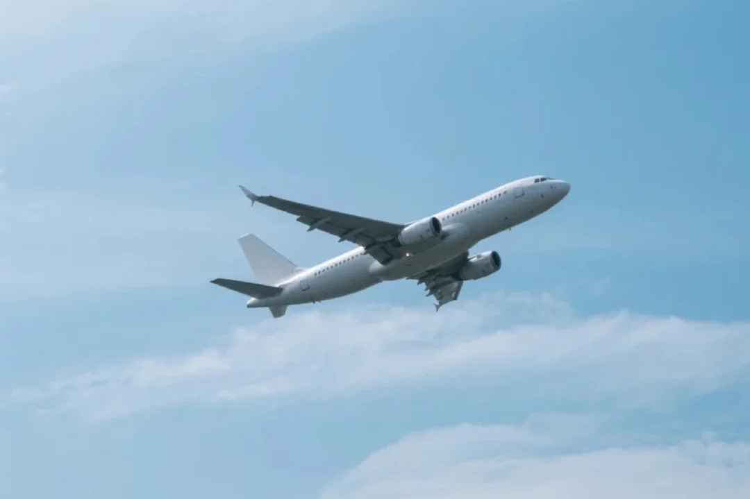 00000000xLOhVhCYOsaYXjJr