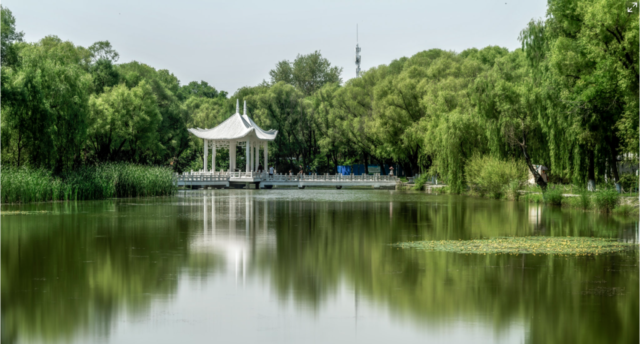 00000000ylqLqFCpDKOeylUq