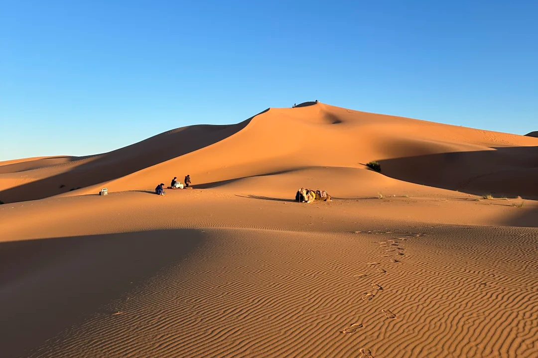 00000000ynaflkSZwuERsTnL