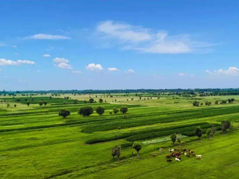 00000000ytjyLLnWnUSzVkKk