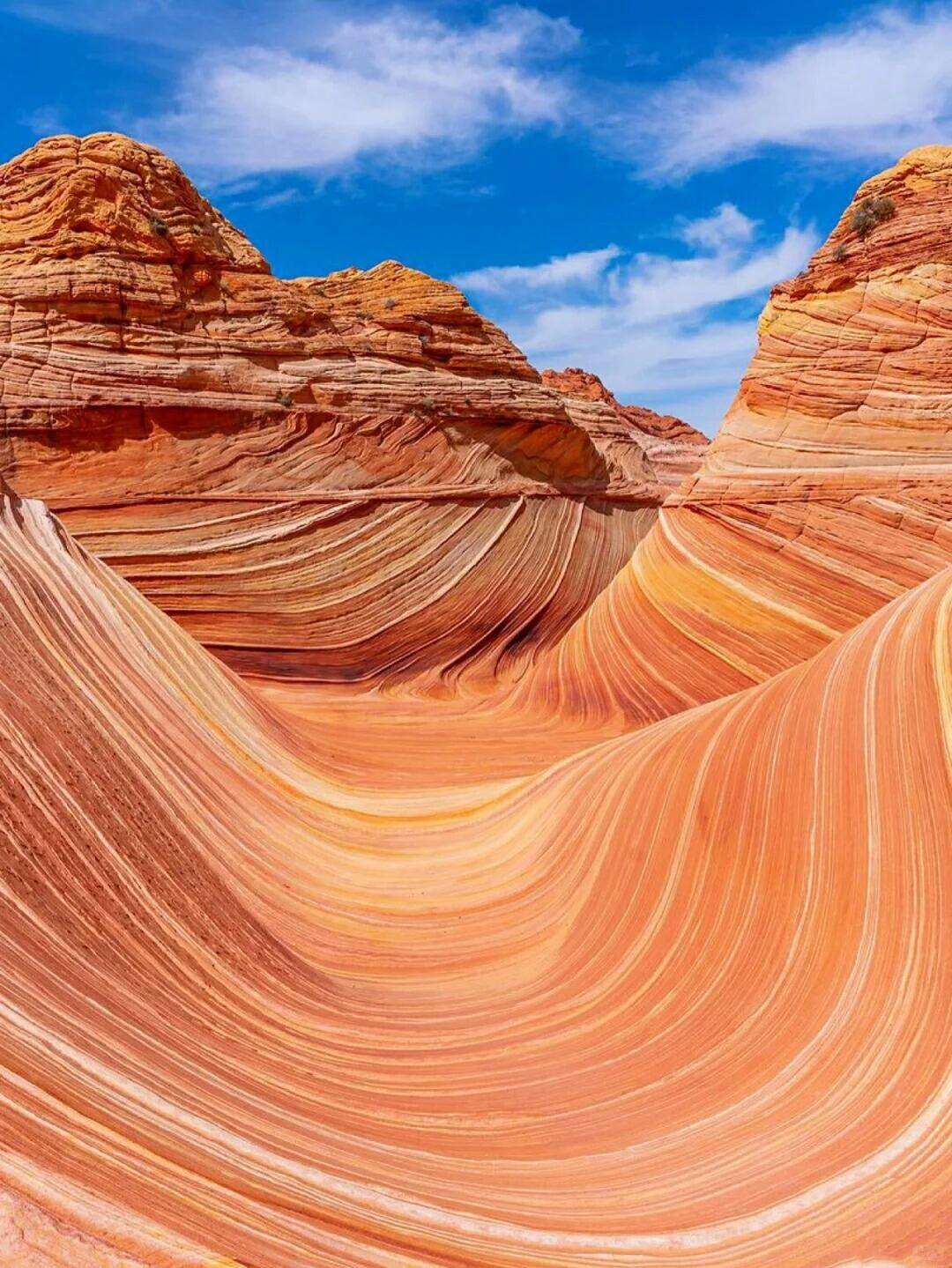 00000000zFhdGmLkDOzrqQkP