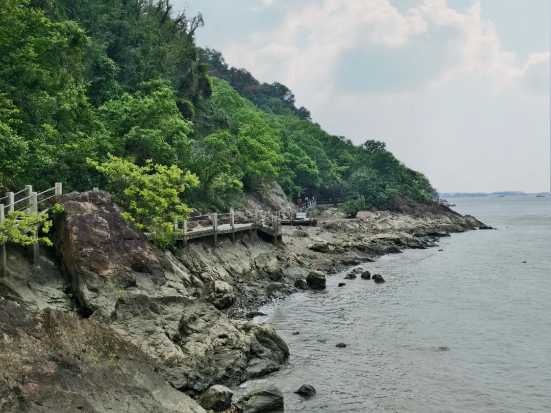 00b0fcf10bd2ffcc366586b787d65488-sz_541894-1