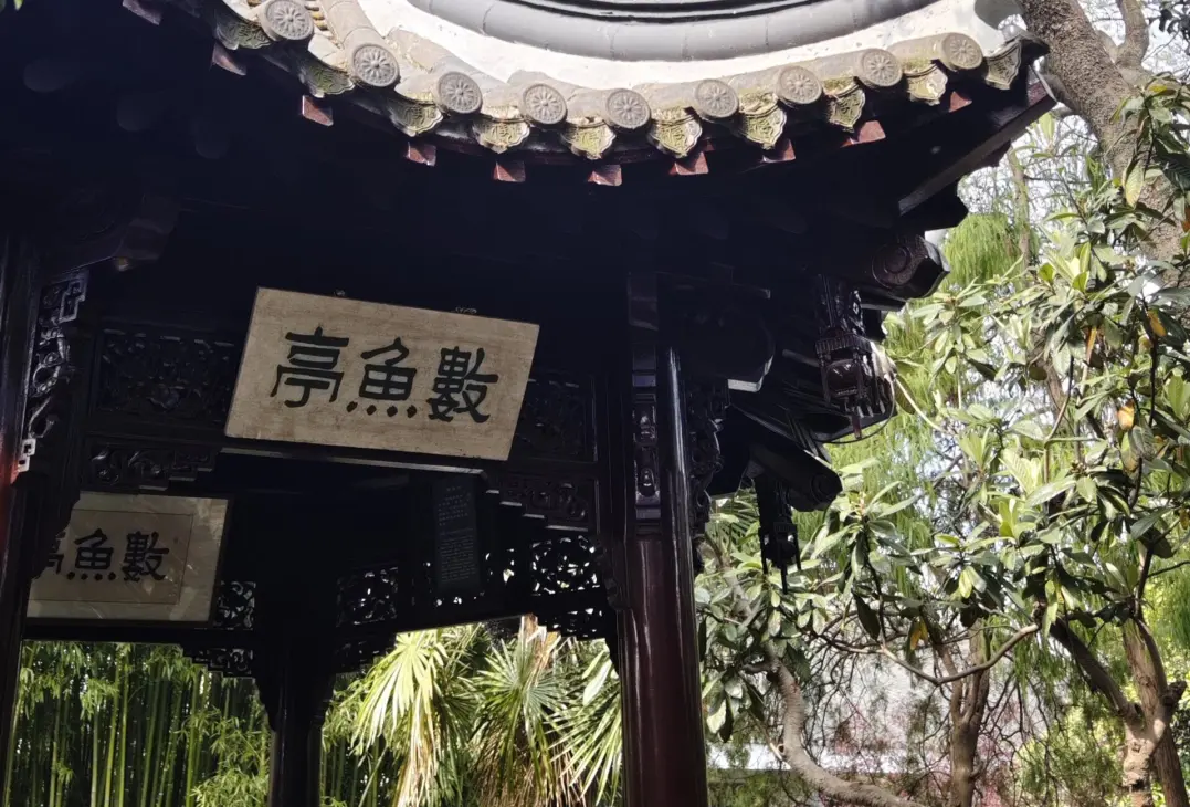 0107e99166c18482117a9e17293eb367-sz_924555-1