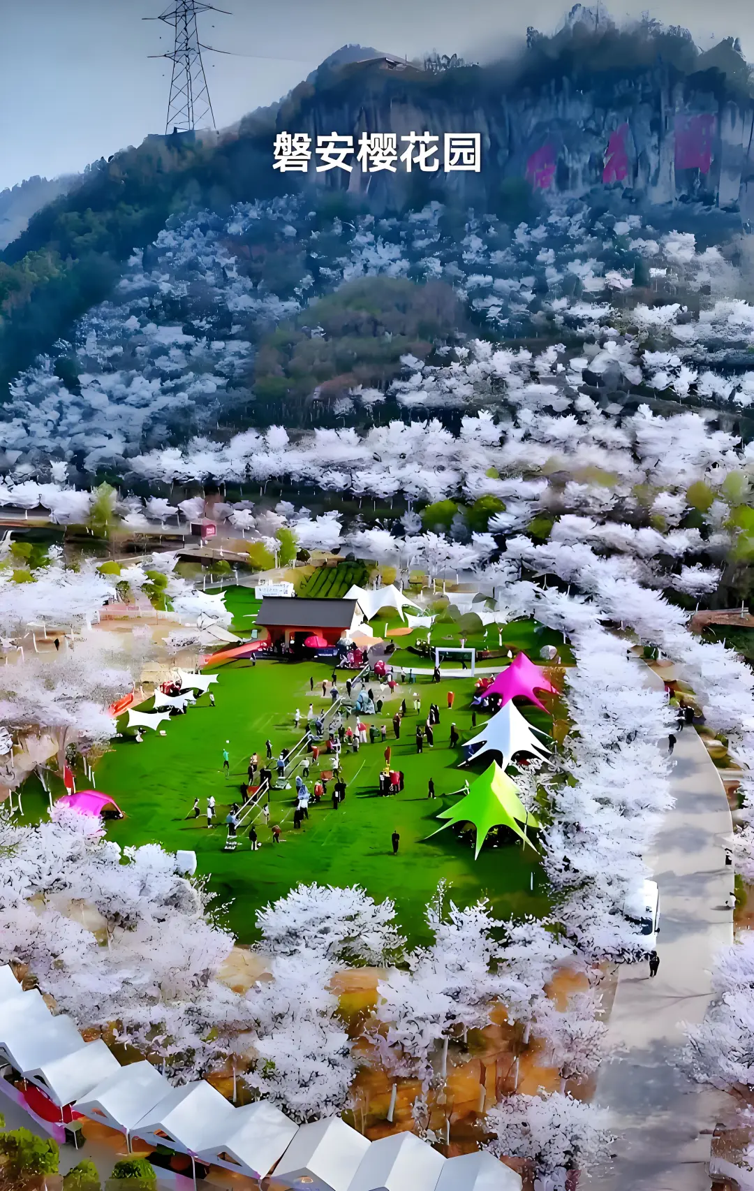 01a0d7e55cf01064659c88fe7bf65782-sz_1778266