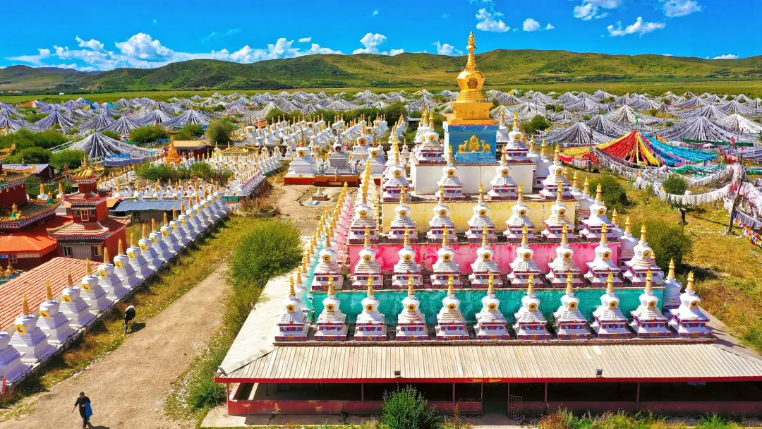 0245039899b82879e751cd49ea4443bb-sz_5677872