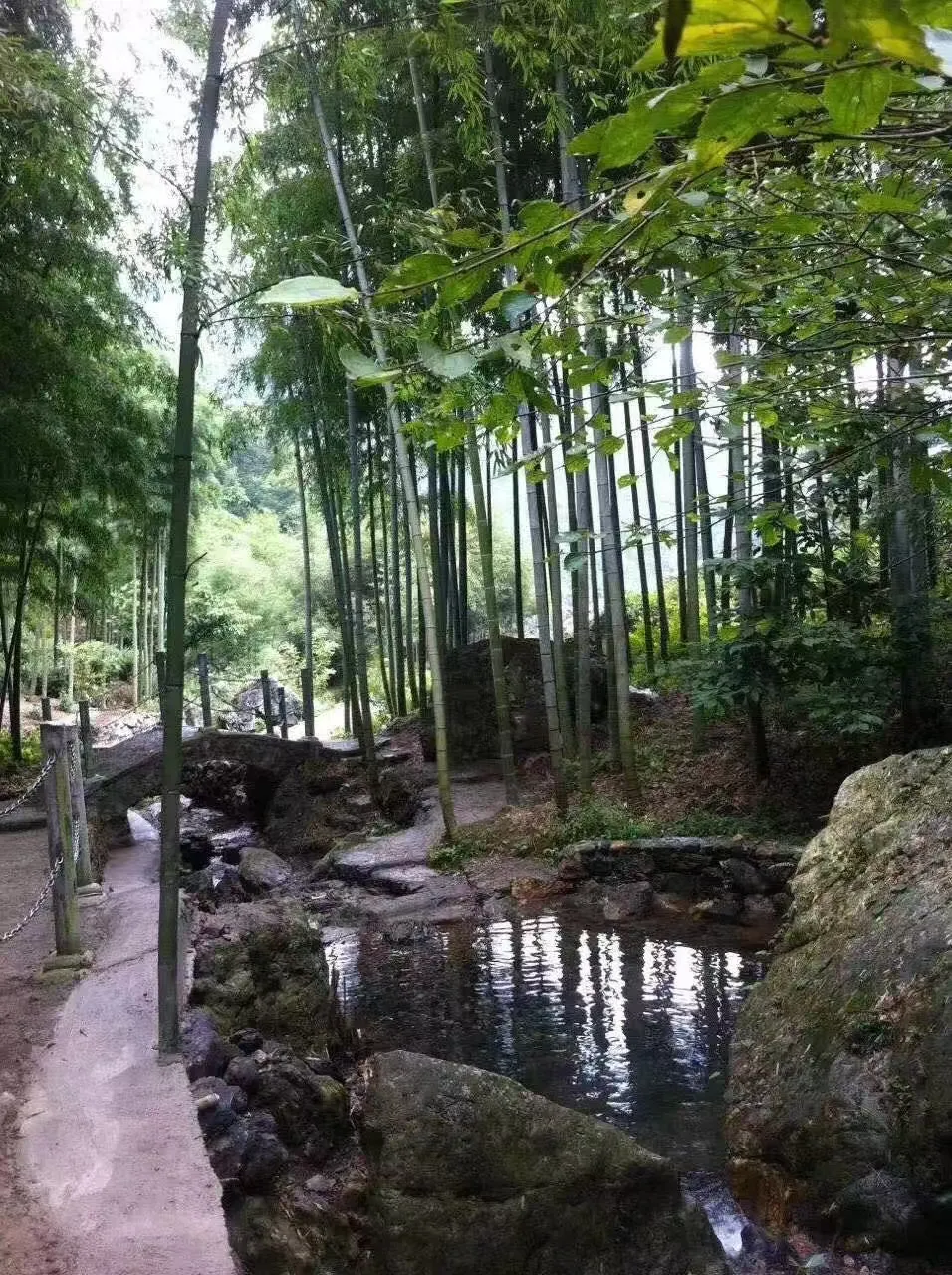 03d2fd227eba47e41d80df3d7b33a465-sz_3282529