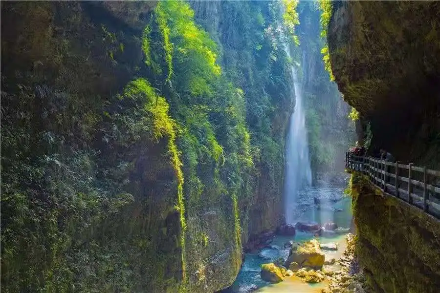 03d33636cc5503cdd1a92872160d6f7e-sz_87283-1