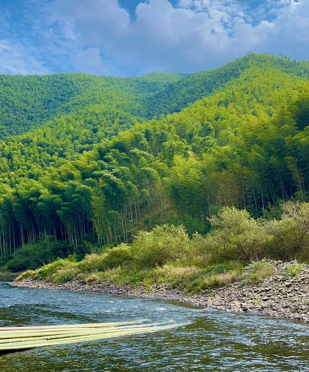 0405e3f5a9653a7b925e6ff0b83660f0-sz_535270