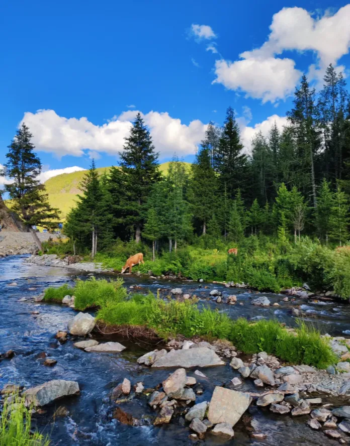 042e537814365aaa57d1b8f5f5c2bdaa-sz_1143979