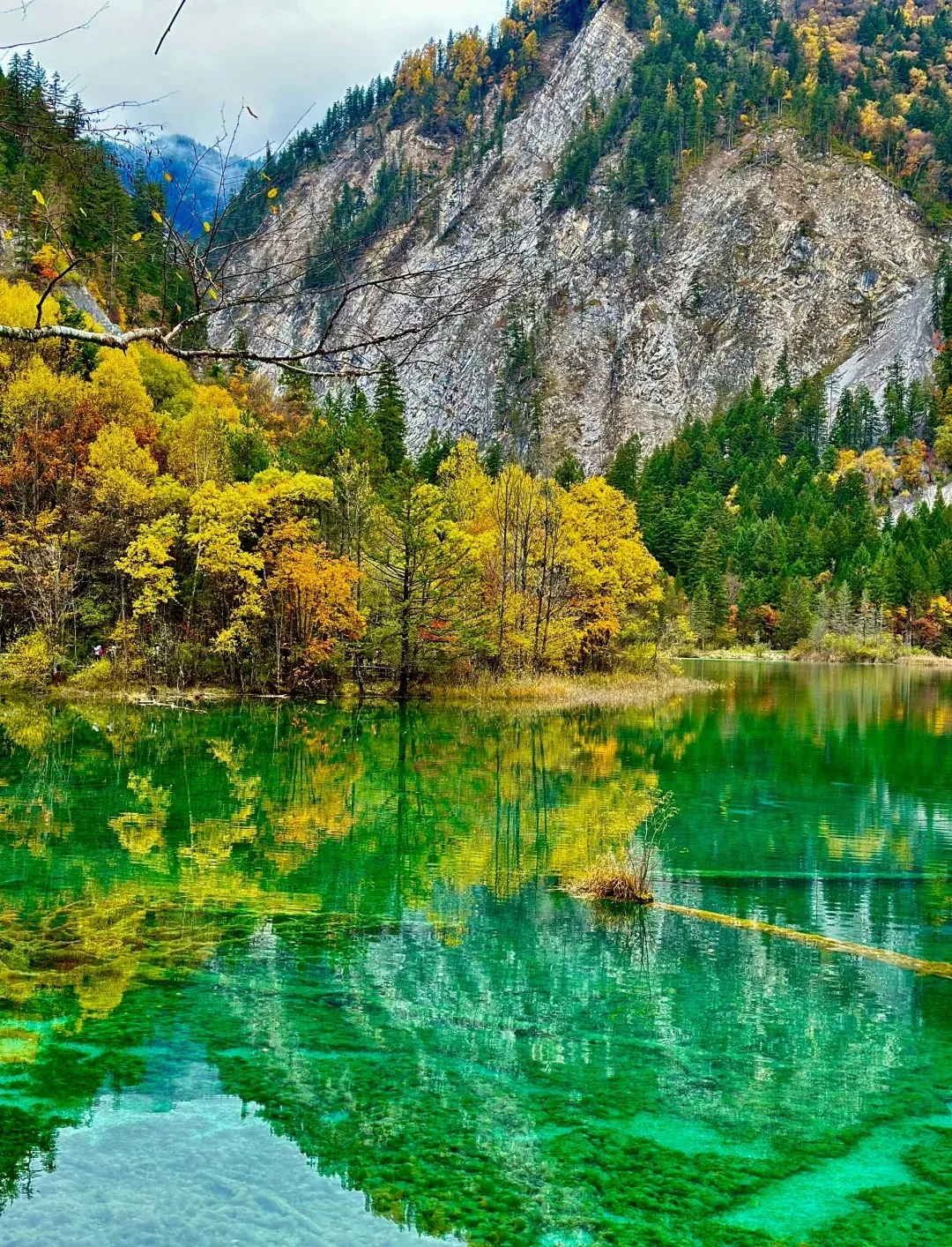 0447aae171b7876cf37b39a2629e19a2-sz_862341