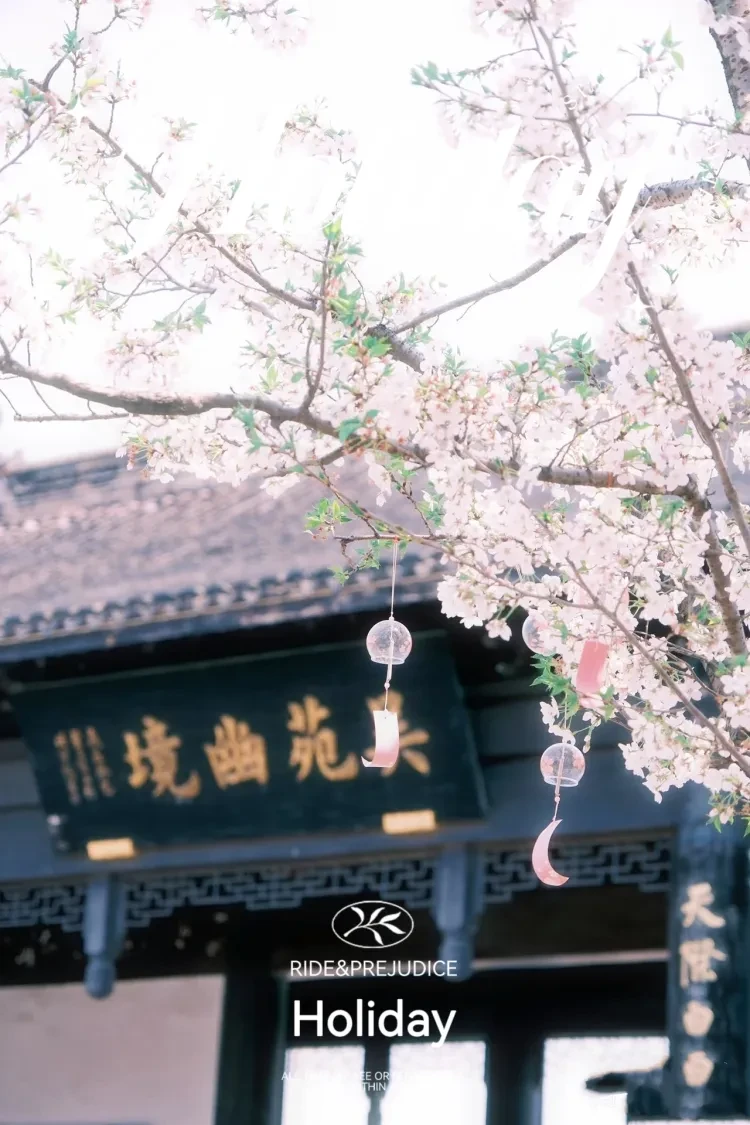 04c78bb955fff1d4bf1e93983311327b-sz_1192578