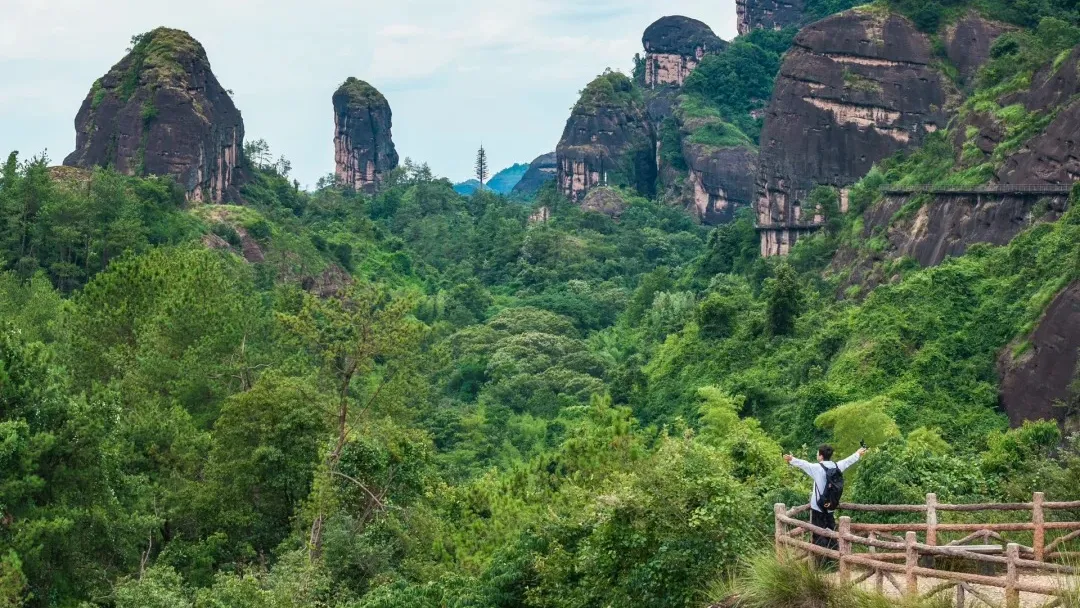 054af74e544b0a7c2730c6f6d0ee810d-sz_646285