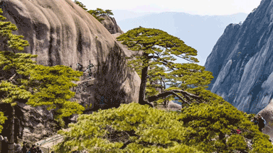 【福利：398元❤黄山全景❤跟团游五日】四晚连住精品酒店，含6正4自助早，登黄山，游宏村，西递石林，花山迷窟，九龙瀑，太平湖，免费升级四大特色餐