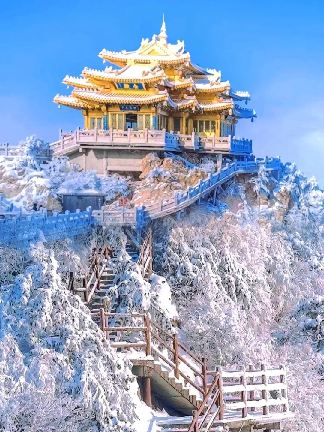 05c12f3cf7013b46ca4c36f4c1d04c77-sz_2496850