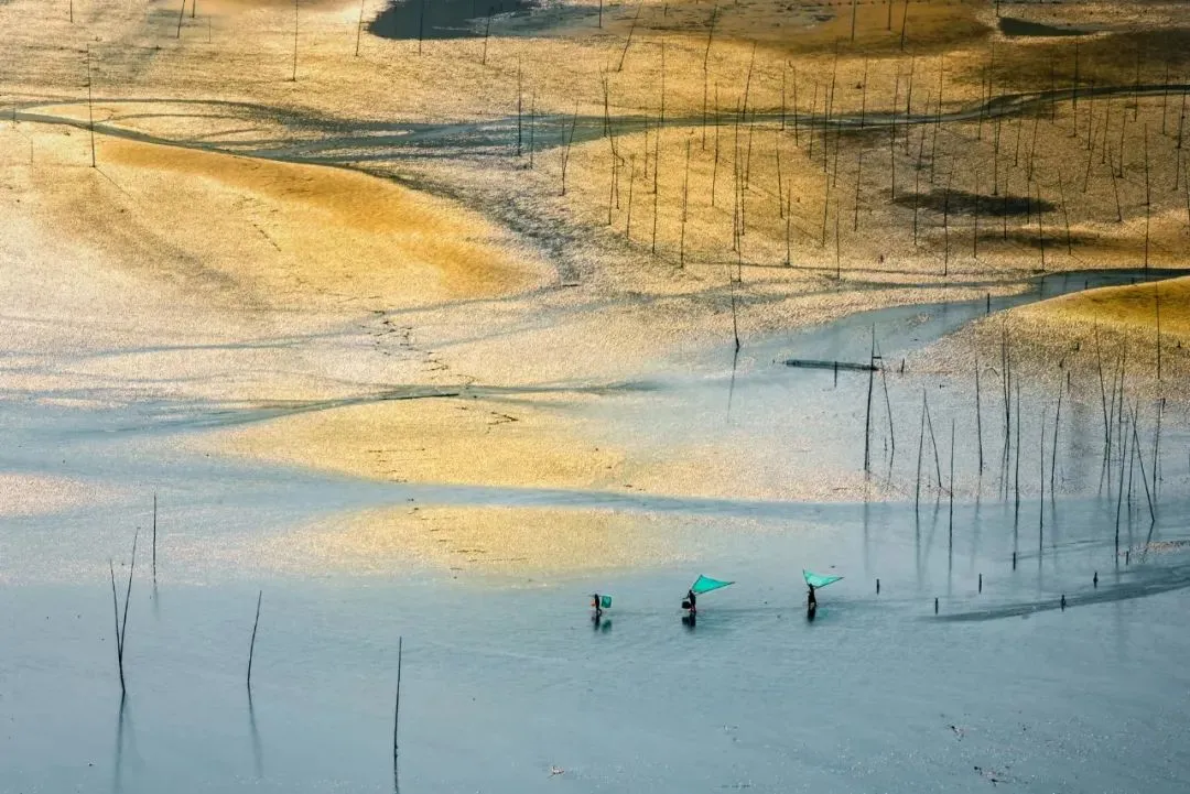 05d81d3f991c170cc4c7cf134b6c0439-sz_151060