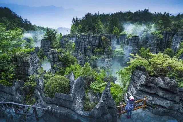 05f369e87c03b795708986899f66a030-sz_511271-1