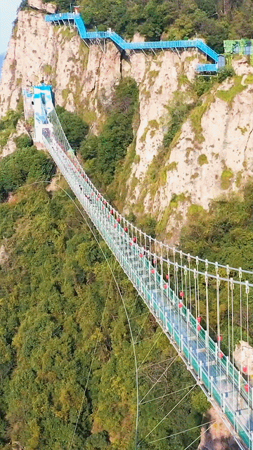 080ff7b79b62731bc317b4607882ac3b-sz_6030863