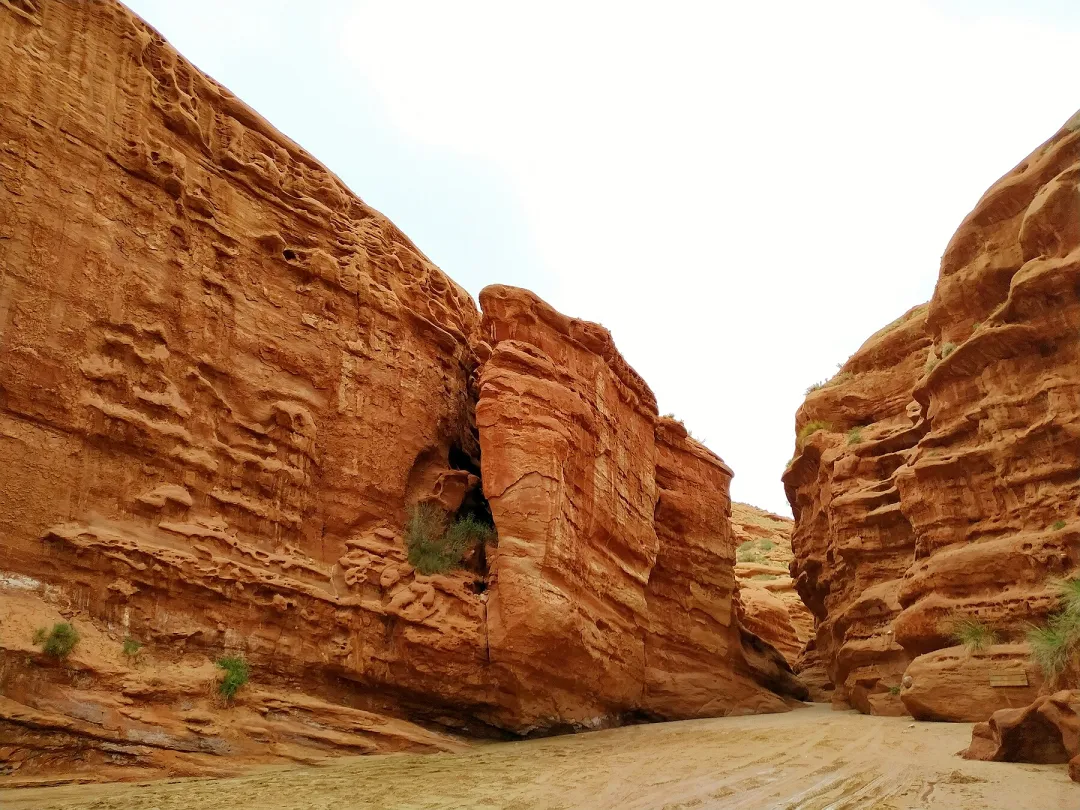 0915ee115fbe246241ff7c94178bda67-sz_1229160