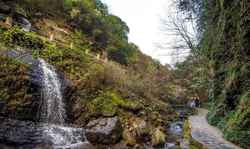 094153fd30b60e8aeb6c5393e156f565-sz_1016234