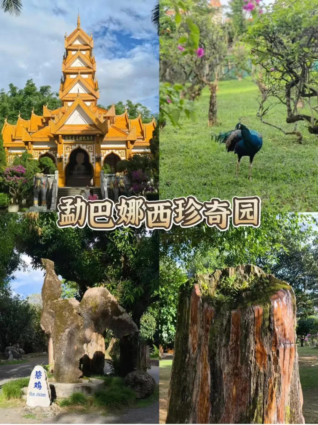 0b104b12f937f769e580224c574ed89d-sz_673652-1