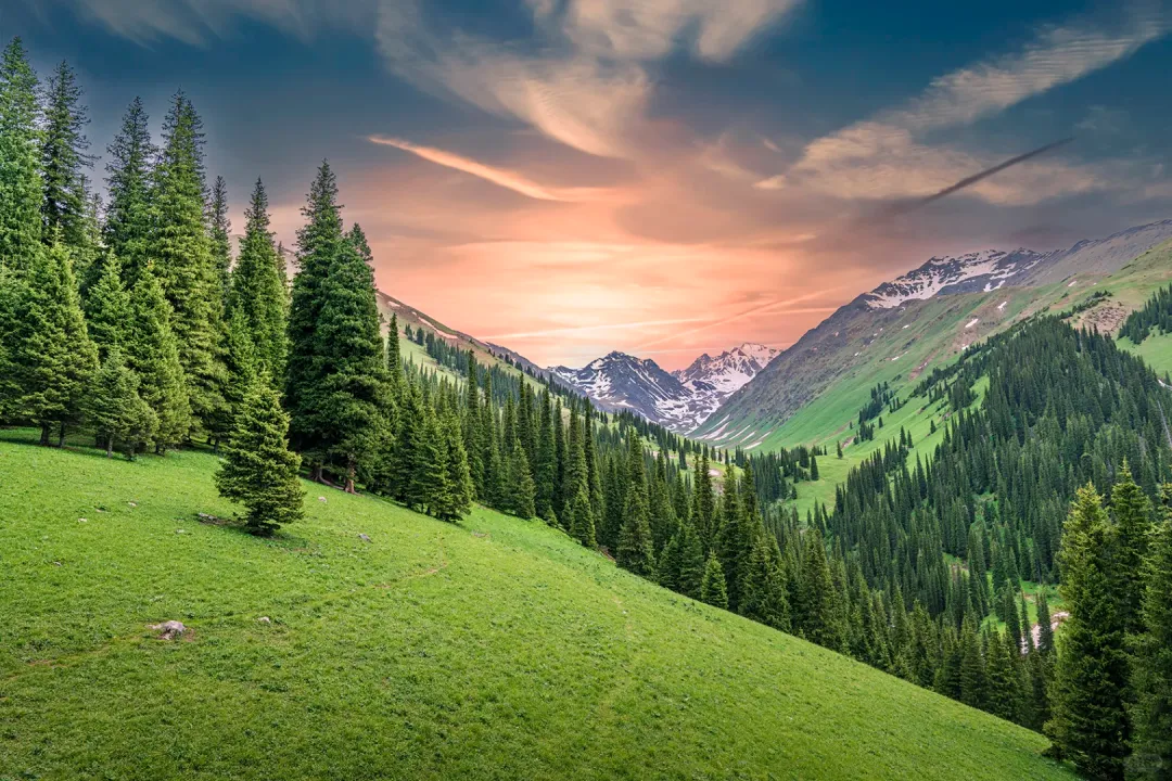 0b2b154bb16e9f8e87c69b9ac732254d-sz_3788649