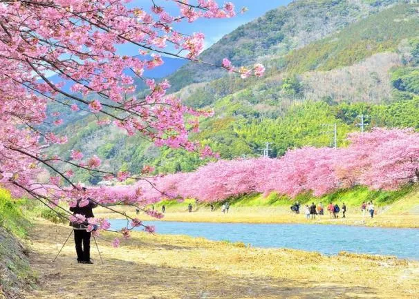 0dff8c5b677530b3b7859de59c9ca4fc-sz_583596