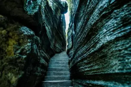 0eddcbcb88e093eaa9511734aed545b6-sz_228207-1