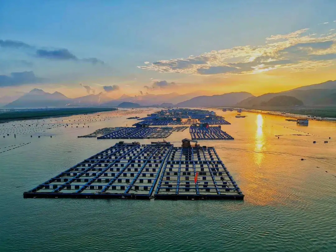 0ee4c405df2840b4f99e0a70dd960b86-sz_153176