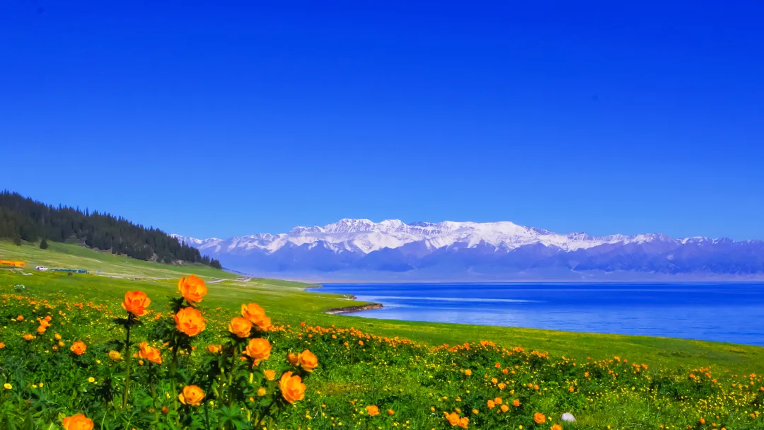 0f6f29f62d0c545d43e9861d764ae875-sz_5201450