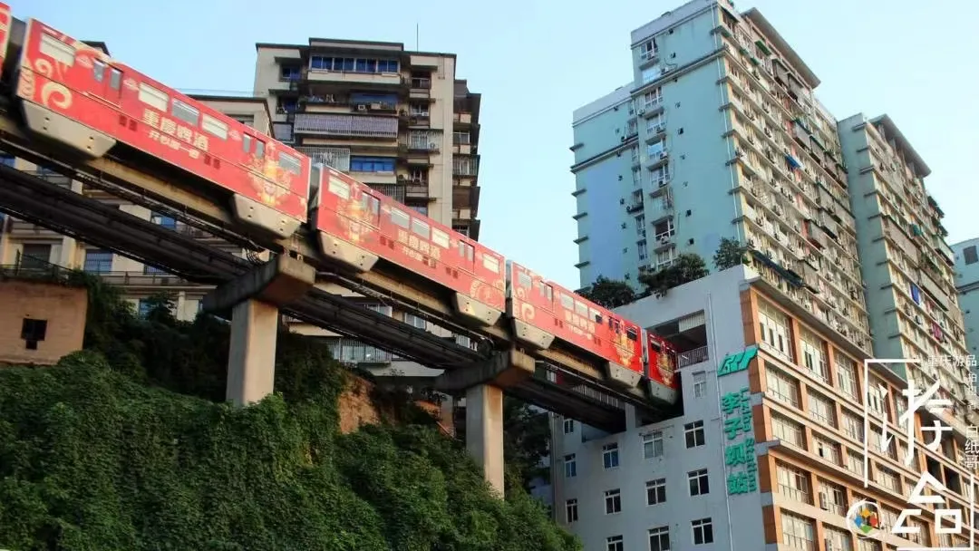 0f73a8324c4cc092dbd5a7618d93994b-sz_257838