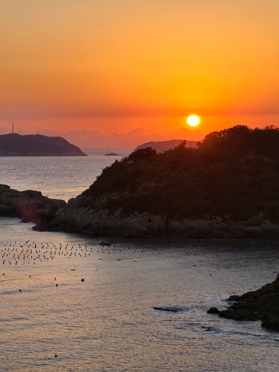 0f98e2f29e81ff0d3cee8ffb8e33d08a-sz_1899151