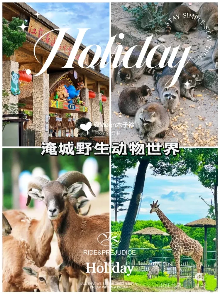 0fa33cd9f243faa976d11b5f2aa42d6d-sz_1973726