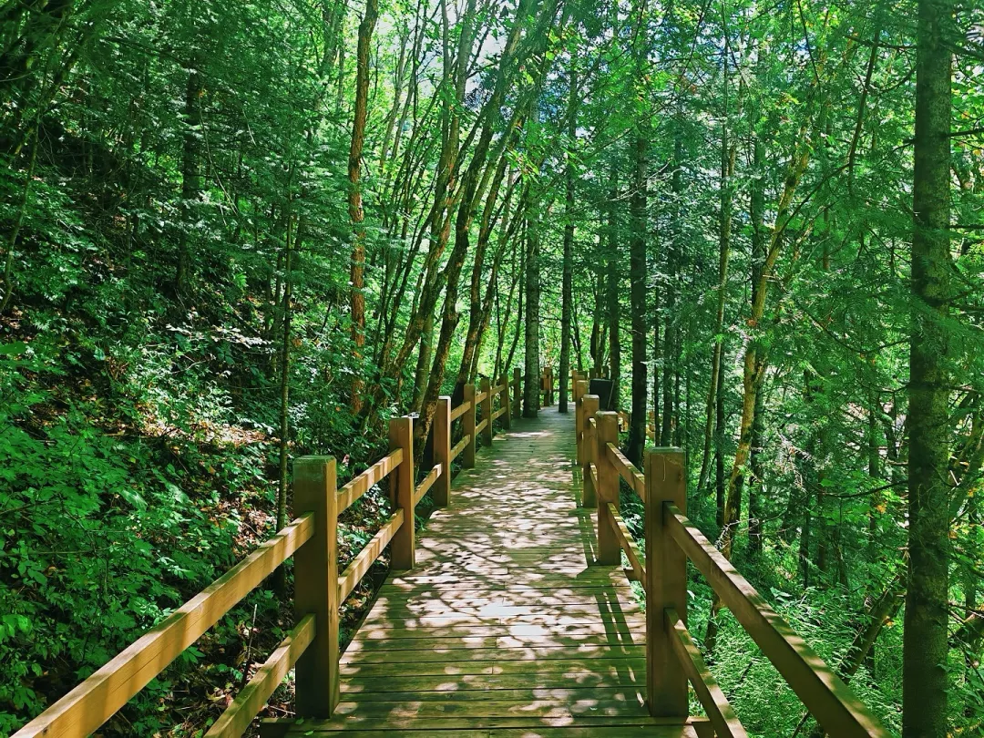 118569036fc6e9289821f42fc410d4ab-sz_3117064